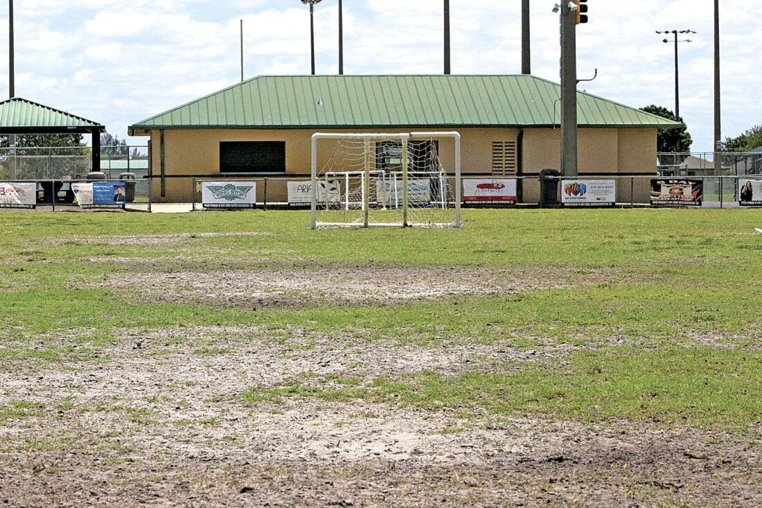 Cape to address sports field complaints News, Sports, Jobs Cape